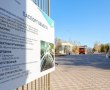 Аудиторы КСП нашли нарушения при благоустройстве волгоградских парков