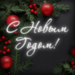 Контрольно-счетная палата Волгоградской области поздравляет с наступающим Новым Годом!