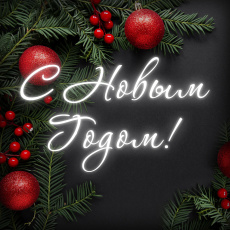 Контрольно-счетная палата Волгоградской области поздравляет с наступающим Новым Годом!